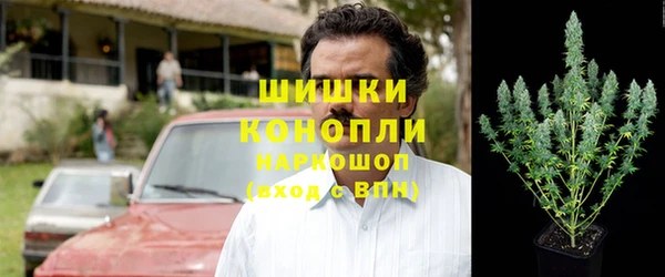 ПСИЛОЦИБИНОВЫЕ ГРИБЫ Магас
