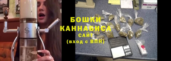 сатива Абаза