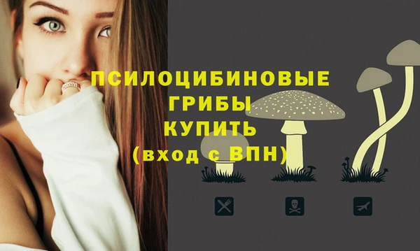 мет Майский