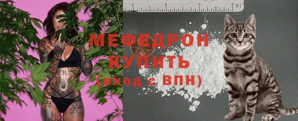 сатива Абаза