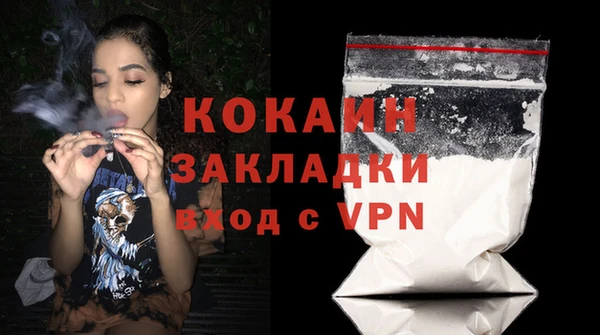 ПСИЛОЦИБИНОВЫЕ ГРИБЫ Магас