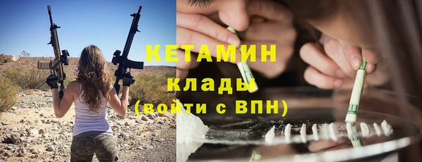 сатива Абаза